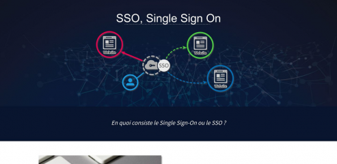 https://www.single-sign-on.info